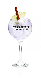 BUSS N&deg;509 Elderflower Gin 40% 70cl