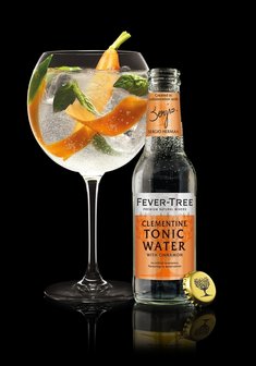 Fever-Tree Clementine &amp; Cinnamon Tonic Water Cocktail