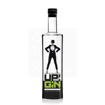 UP! Gin 40% 50cl
