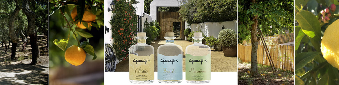 Ontdek GauGin Ontdek-GauGin