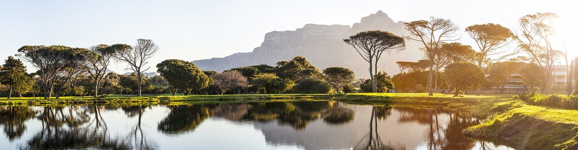 Ontdek-gins-uit-Zuid-Afrika